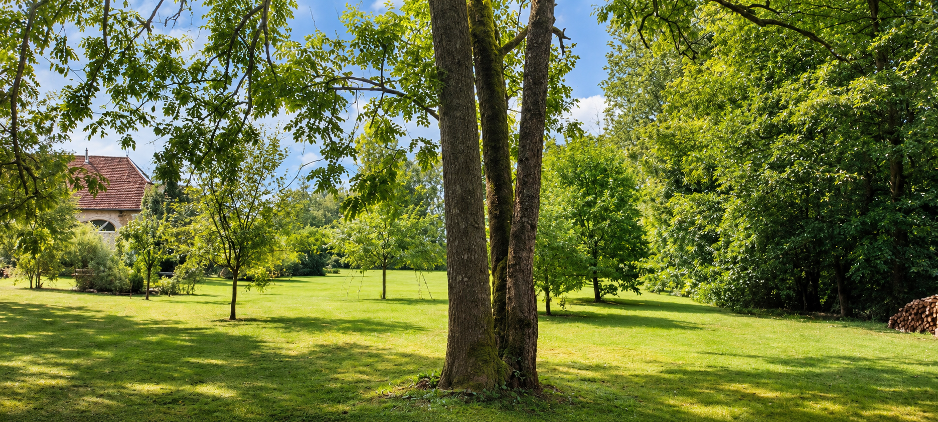 636a1d67