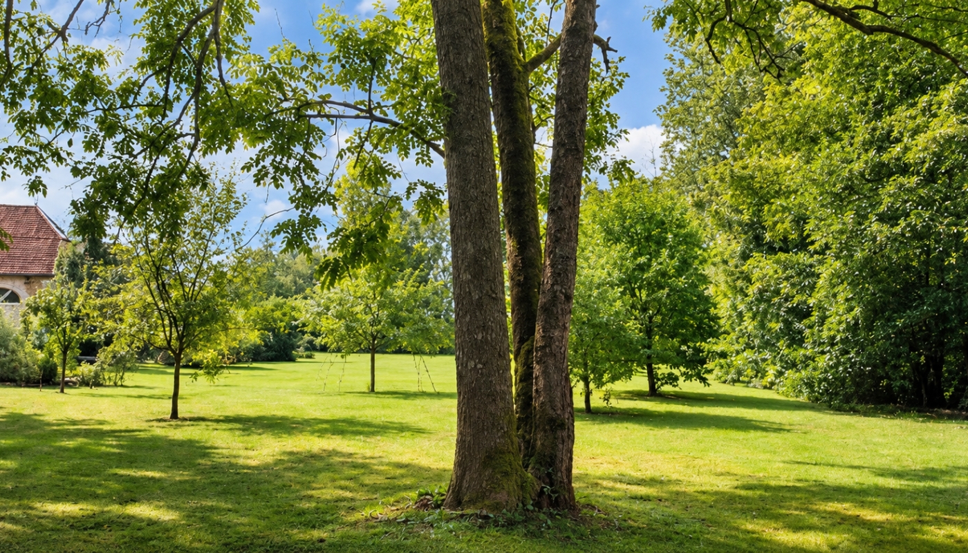636a1d67