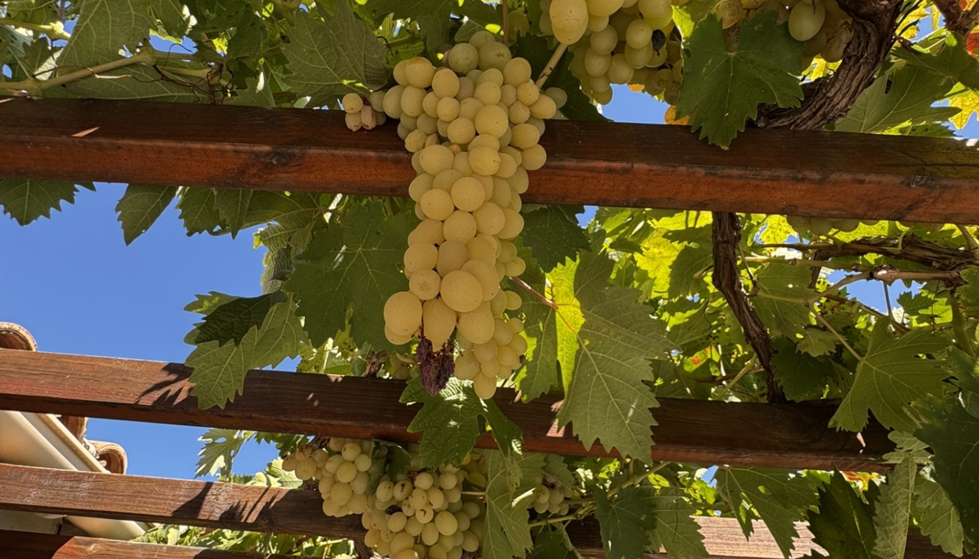 7d83f573